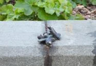 Kolodko: Sztálin csizmája miniszobor Budapest