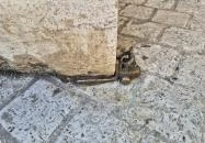 Kolodko: Targoncás miniszobor Budapest