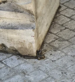 Kolodko: Targoncás miniszobor