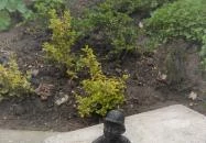 Kolodko: Utcazenész miniszobor Veszprém