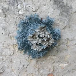 Kolontári iszapkatasztrófa emlékhely, Kolontár - Egyéb