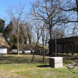 Kopáncsi Tanyamúzeum Hódmezővásárhely - Külső kép