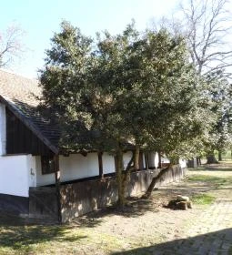 Kopáncsi Tanyamúzeum