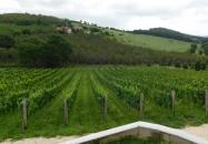 Kőróka Pince Mindszentkálla