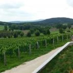 Kőróka Pince Mindszentkálla - Külső kép