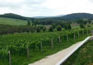 Kőróka Pince Mindszentkálla