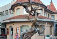 Körös füzei Szarvas