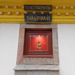 Kőrösi Csoma Sándor Emlékpark és Békesztúpa Tar - Egyéb