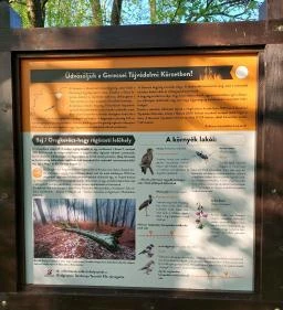 Kovácsi Körtemplom romjai