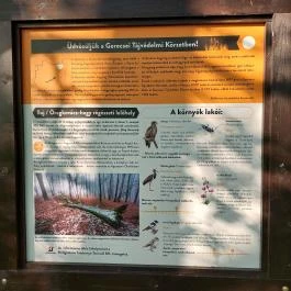 Kovácsi Körtemplom romjai Baj - Egyéb