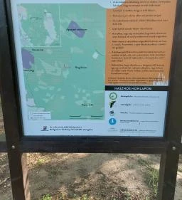 Kovácsi Körtemplom romjai