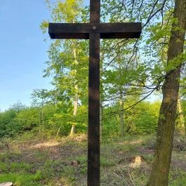 Kovácsi Körtemplom romjai Baj - Egyéb