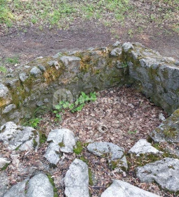 Kovácsi Körtemplom romjai