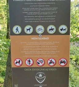 Kovácsi Körtemplom romjai