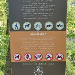 Kovácsi Körtemplom romjai Baj - Egyéb