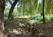 Kövesdi templomrom Aszófő