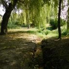 Kövesdi templomrom Aszófő - 