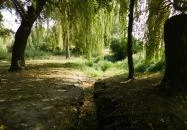 Kövesdi templomrom Aszófő