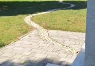 Közös szóból folyó ered Barcs