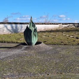 Központi Román Sírkert Hajdúböszörmény - Külső kép