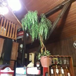 Krapaj Csárda Diósd - Belső