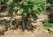 Kráter Kőpark bemutatóhely Pula