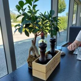 Kreinbacher Bistro Somlóvásárhely - Egyéb