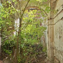 Kremsier-kastély Barcs - Egyéb