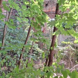 Kremsier-kastély Barcs - Egyéb