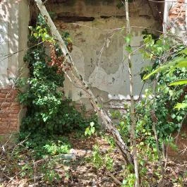 Kremsier-kastély Barcs - Egyéb