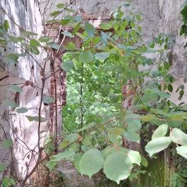 Kremsier-kastély Barcs - Egyéb