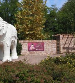 Krisna-völgy Indiai Kulturális Központ & Biofarm