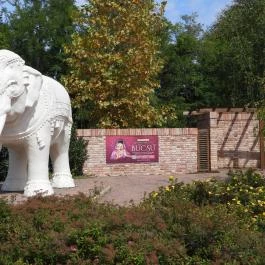 Krisna-völgy Indiai Kulturális Központ & Biofarm Somogyvámos - Külső kép