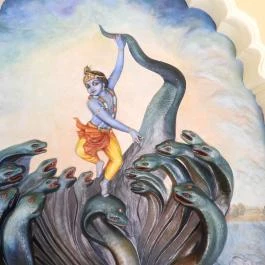 Krisna-völgy Indiai Kulturális Központ & Biofarm Somogyvámos - Egyéb