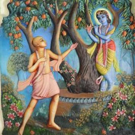 Krisna-völgy Indiai Kulturális Központ & Biofarm Somogyvámos - Egyéb