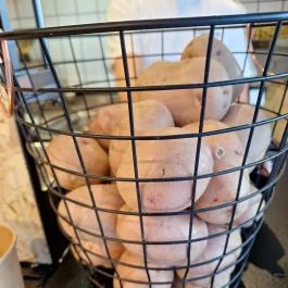 Krumpli., Budapest - Egyéb