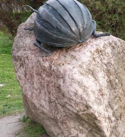 Krumplibogár szobor