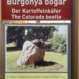 Krumplibogár szobor Hédervár - Egyéb