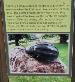 Krumplibogár szobor