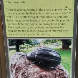 Krumplibogár szobor Hédervár - Egyéb