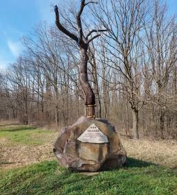 Kun Világfa és kopjafák