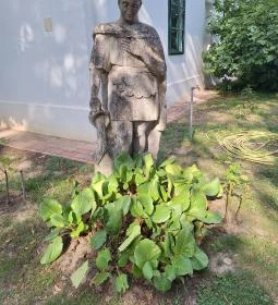 Kunffy Lajos Emlékmúzeum