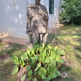 Kunffy Lajos Emlékmúzeum Somogytúr - Egyéb