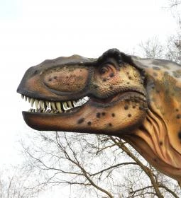 Kunhegyesi Dínó Park