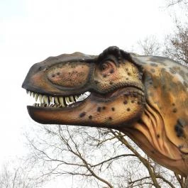 Kunhegyesi Dínó Park, Kunhegyes - Egyéb