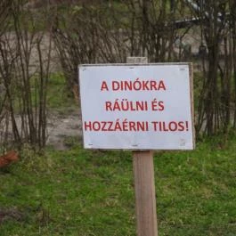 Kunhegyesi Dínó Park, Kunhegyes - Egyéb