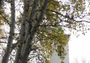 Kunszentmiklósi Református pusztatemplom Kunszentmiklós