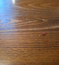 La Pergola Pizzéria