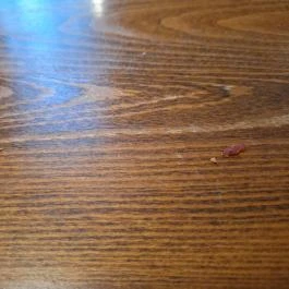 La Pergola Pizzéria Tapolca - Egyéb