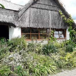 Laci Pince Csárda Vászoly - Külső kép